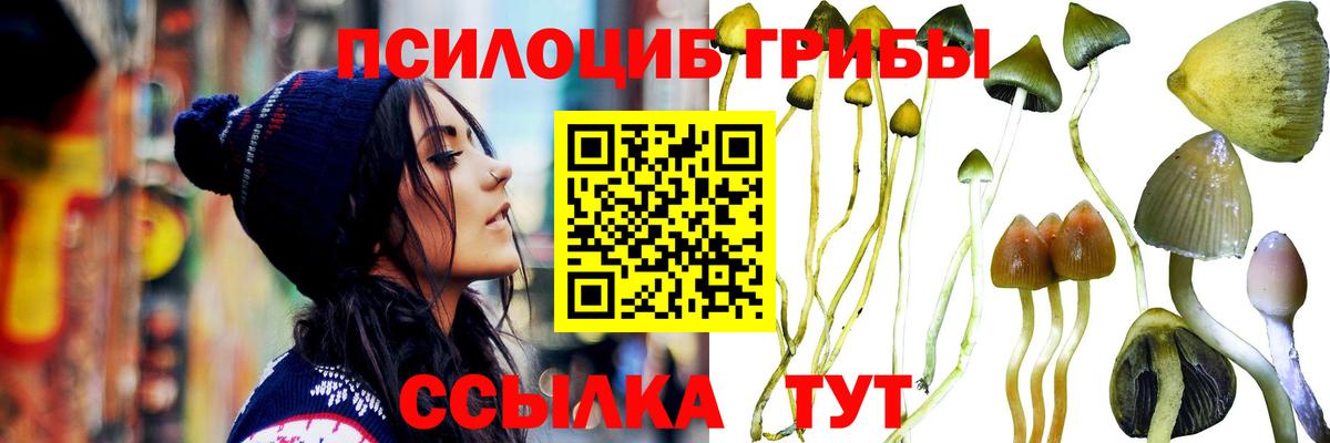 Псилоцибиновые грибы мухоморы Белово